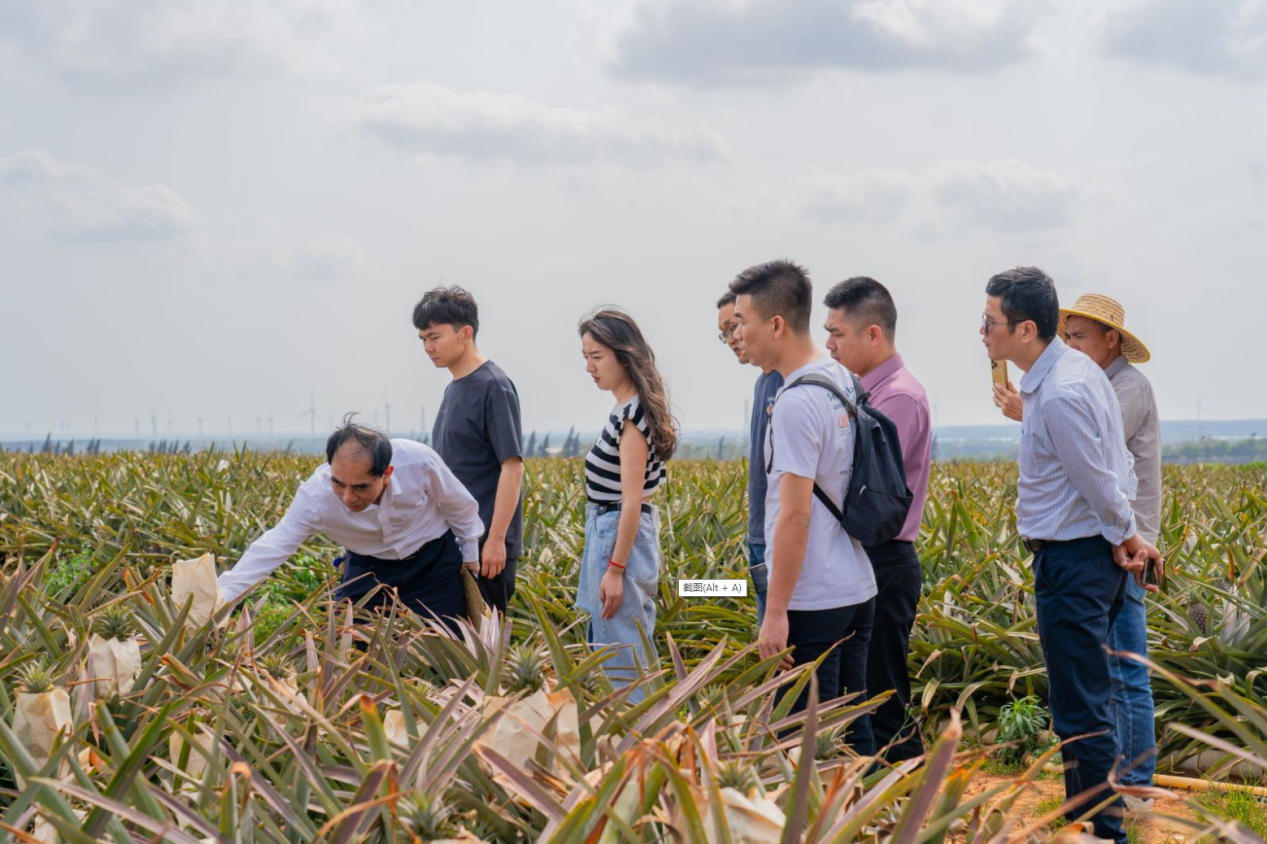 图片 9.png 图片 9.png